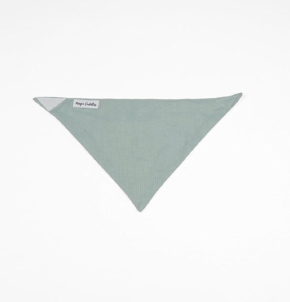 Mint Baby Bib